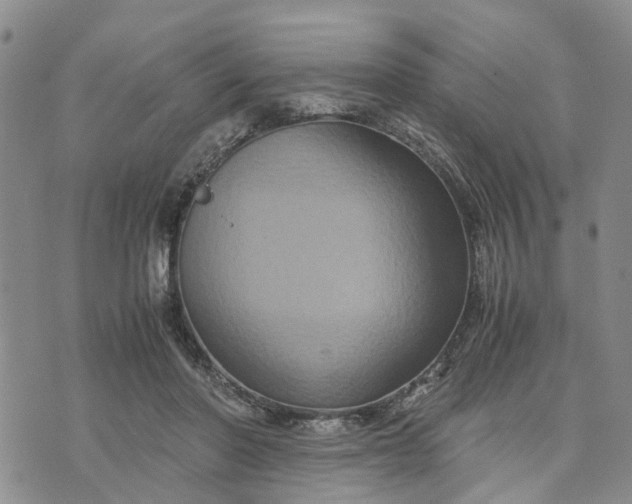 X0000071860406200607141820