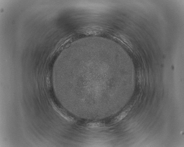 X0000071860408200607141820