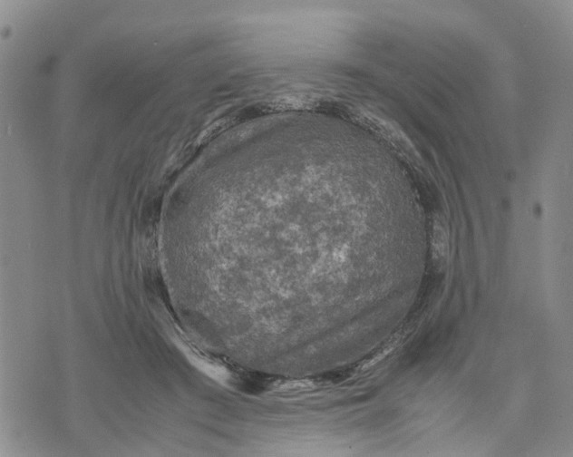 X0000071860409200607141820