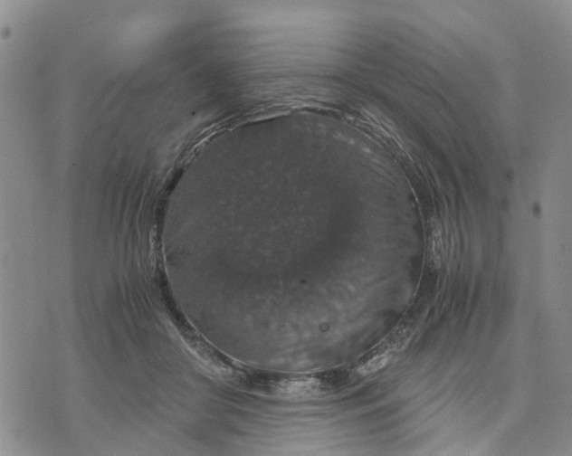 X0000071860410200607141820