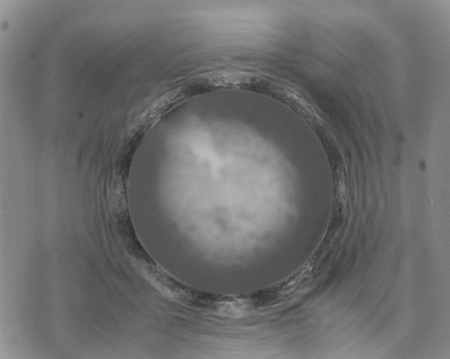 X0000071860411200607141820