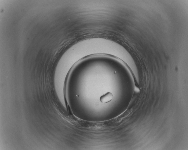 X0000071860412200607141820