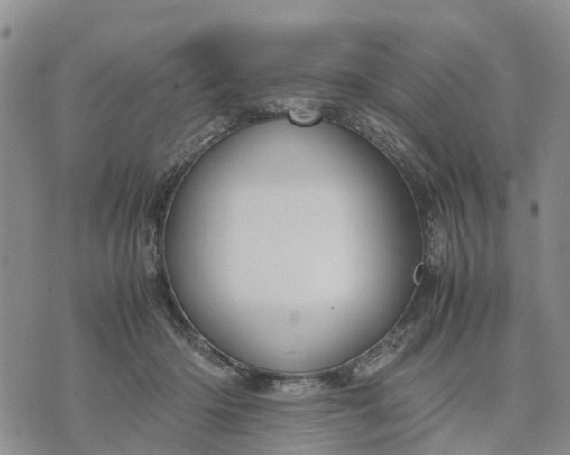 X0000071860414200607141820