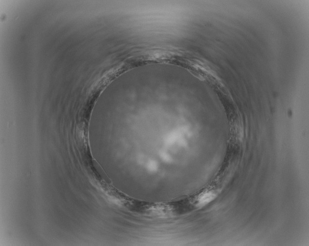 X0000071860415200607141820