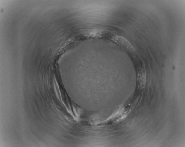 X0000071860416200607141820