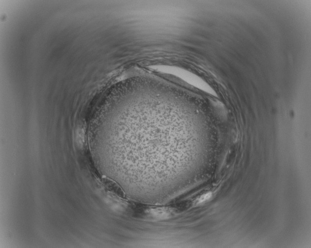 X0000071860417200607141820