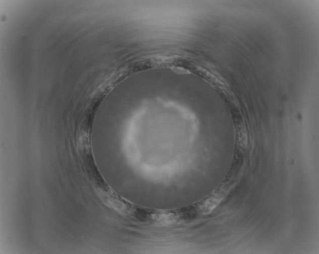 X0000071860419200607141820