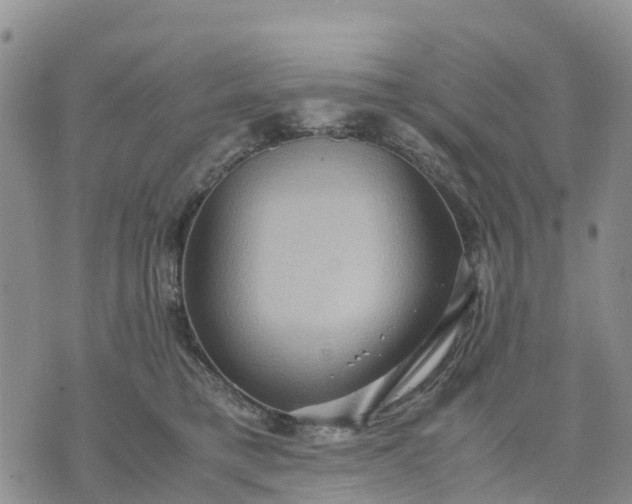 X0000071860421200607141820