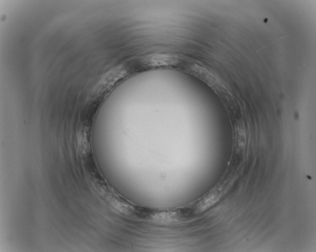 X0000071860422200607141820