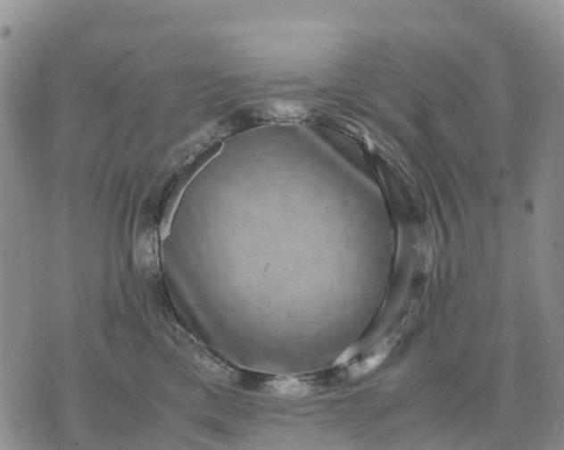 X0000071860425200607141820