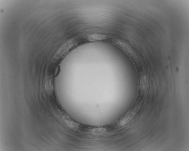 X0000071860426200607141820