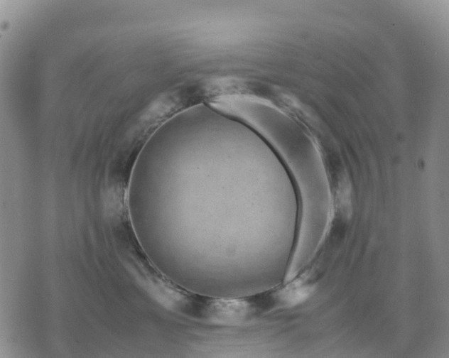 X0000071860429200607141820