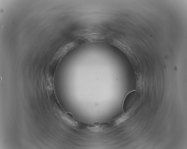 X0000071860430200607141820