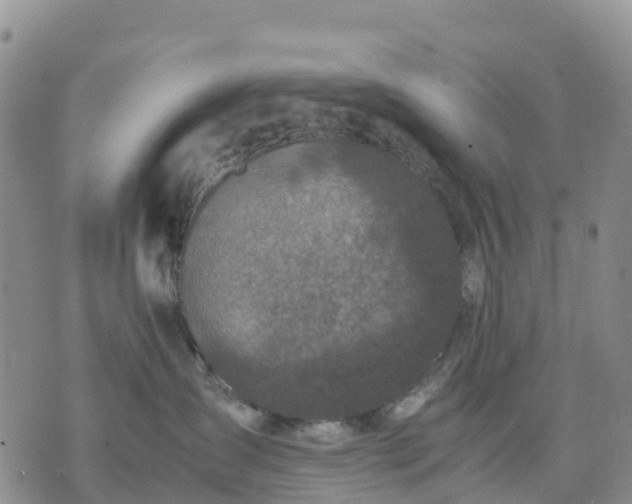 X0000071860431200607141820