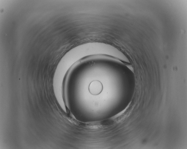 X0000071860432200607141820