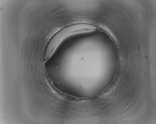 X0000071860433200607141819