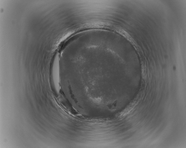 X0000071860434200607141819