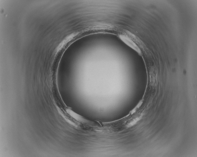 X0000071860436200607141819