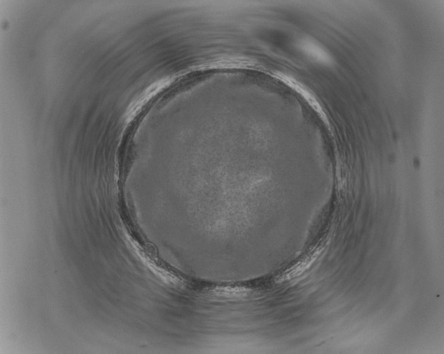 X0000071860437200607141819