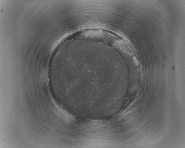 X0000071860438200607141819