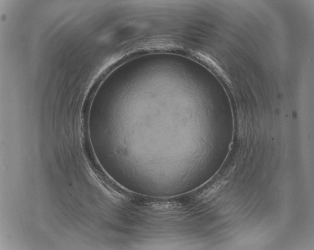 X0000071860439200607141819