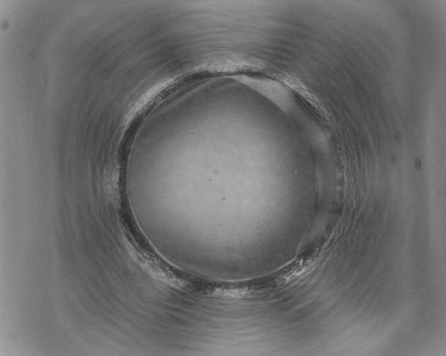 X0000071860440200607141819