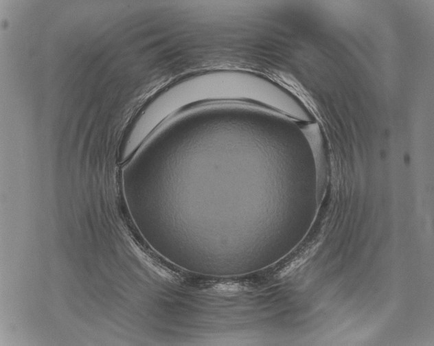 X0000071860441200607141819