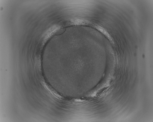 X0000071860442200607141819