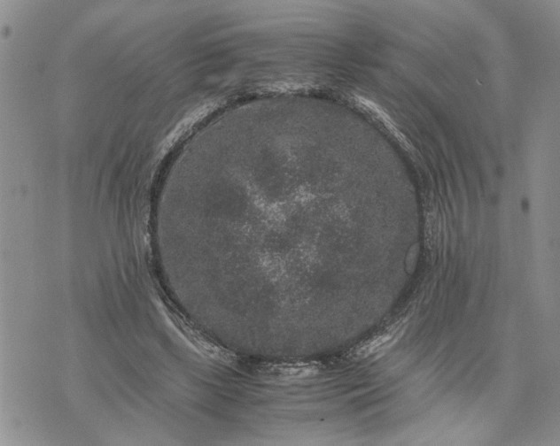 X0000071860443200607141819