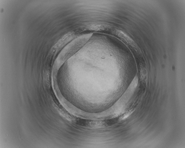 X0000071860444200607141819