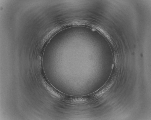 X0000071860445200607141819