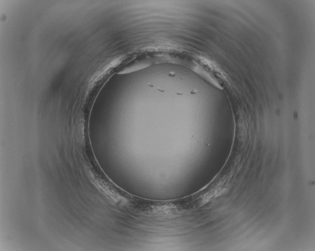 X0000071860446200607141819