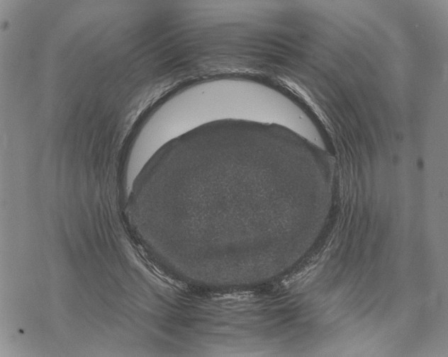 X0000071860447200607141819