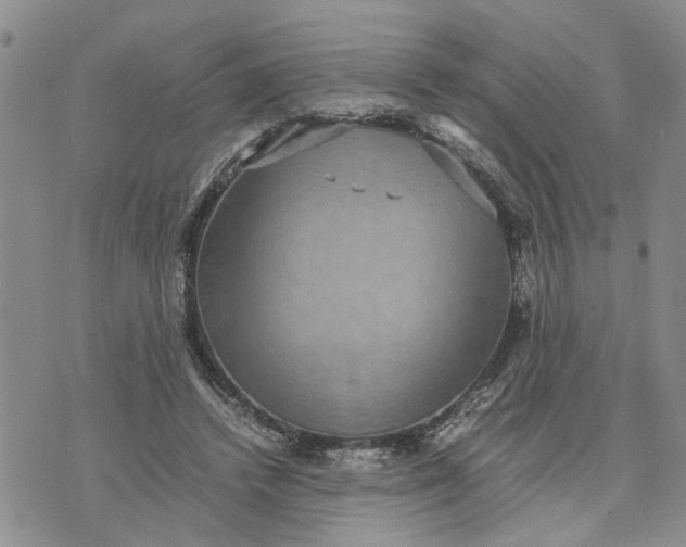 X0000071860448200607141819