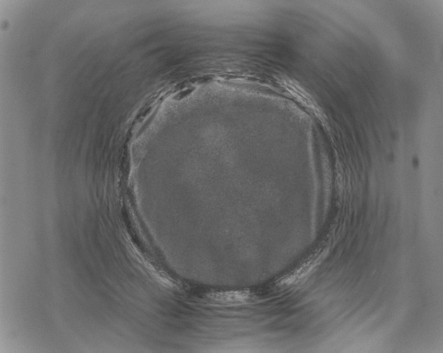 X0000071860449200607141819