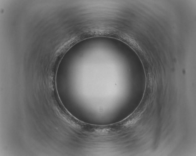 X0000071860450200607141819