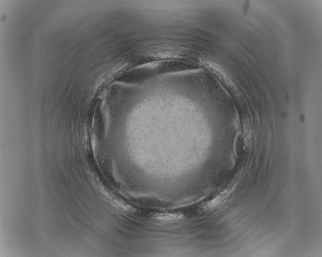 X0000071860453200607141819