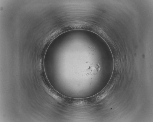 X0000071860454200607141819