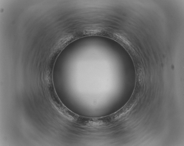 X0000071860455200607141819