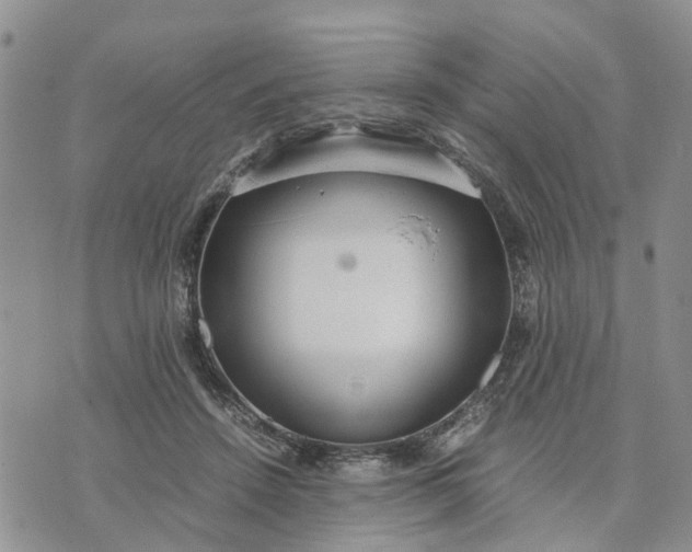 X0000071860456200607141819