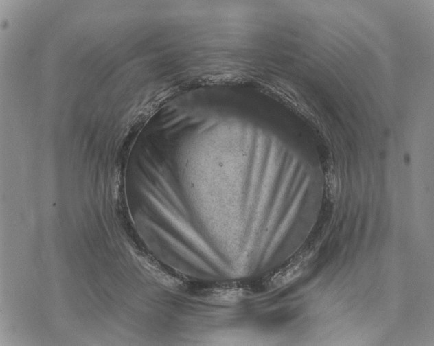 X0000071860458200607141819