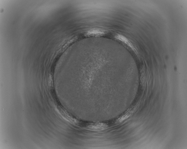 X0000071860459200607141819