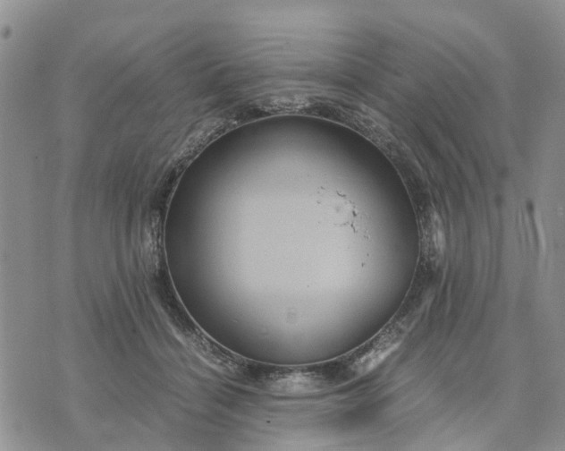 X0000071860460200607141819