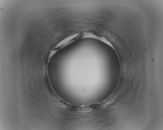 X0000071860463200607141819