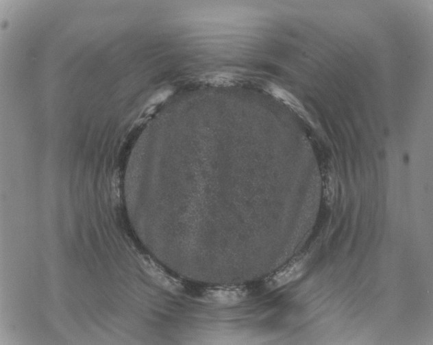 X0000071860466200607141819