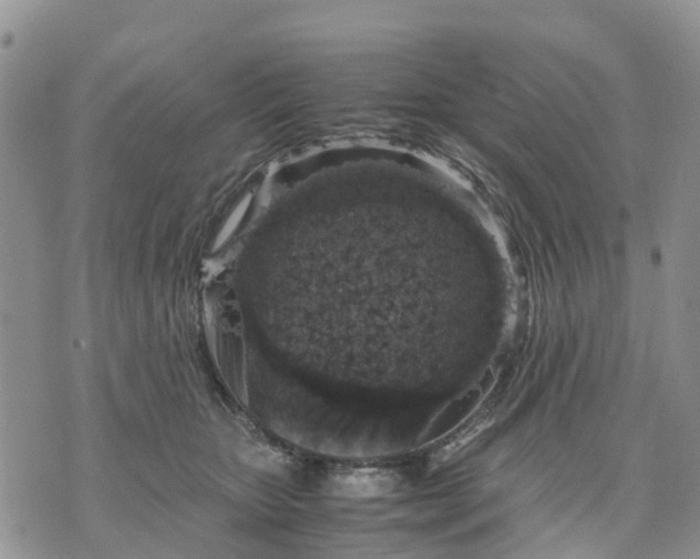 X0000071860467200607141819