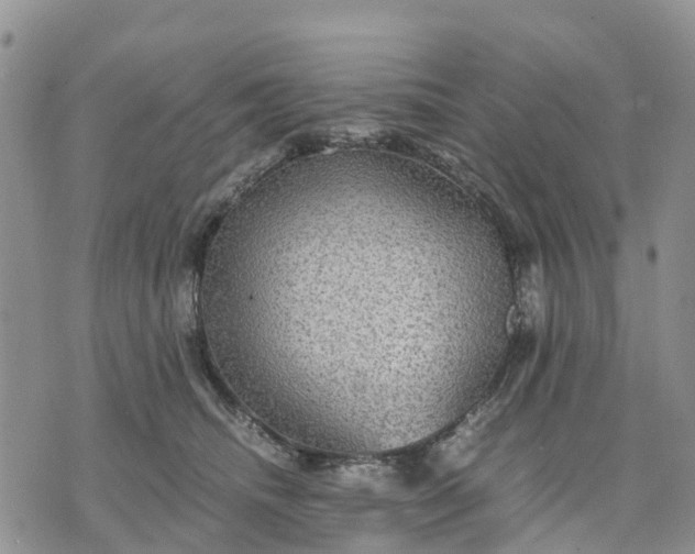 X0000071860468200607141819