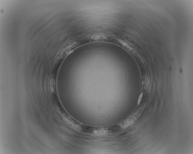 X0000071860470200607141819