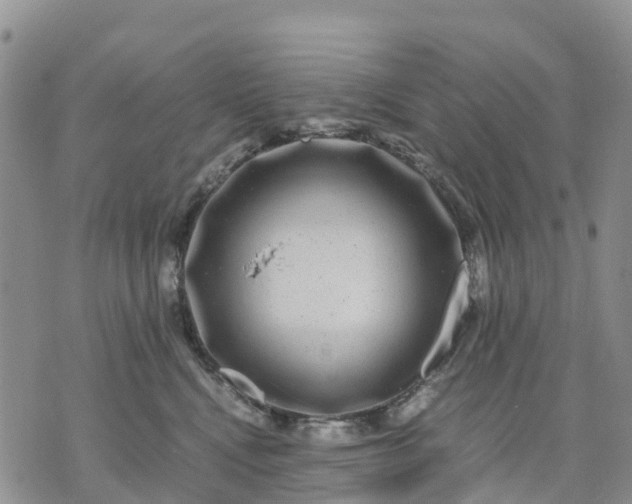 X0000071860472200607141819