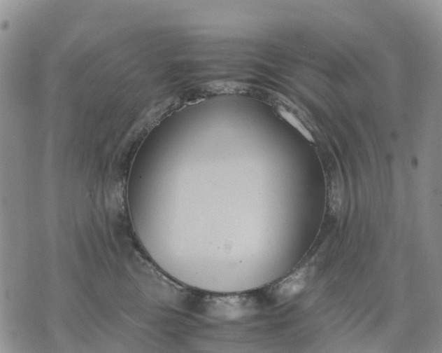 X0000071860473200607141819